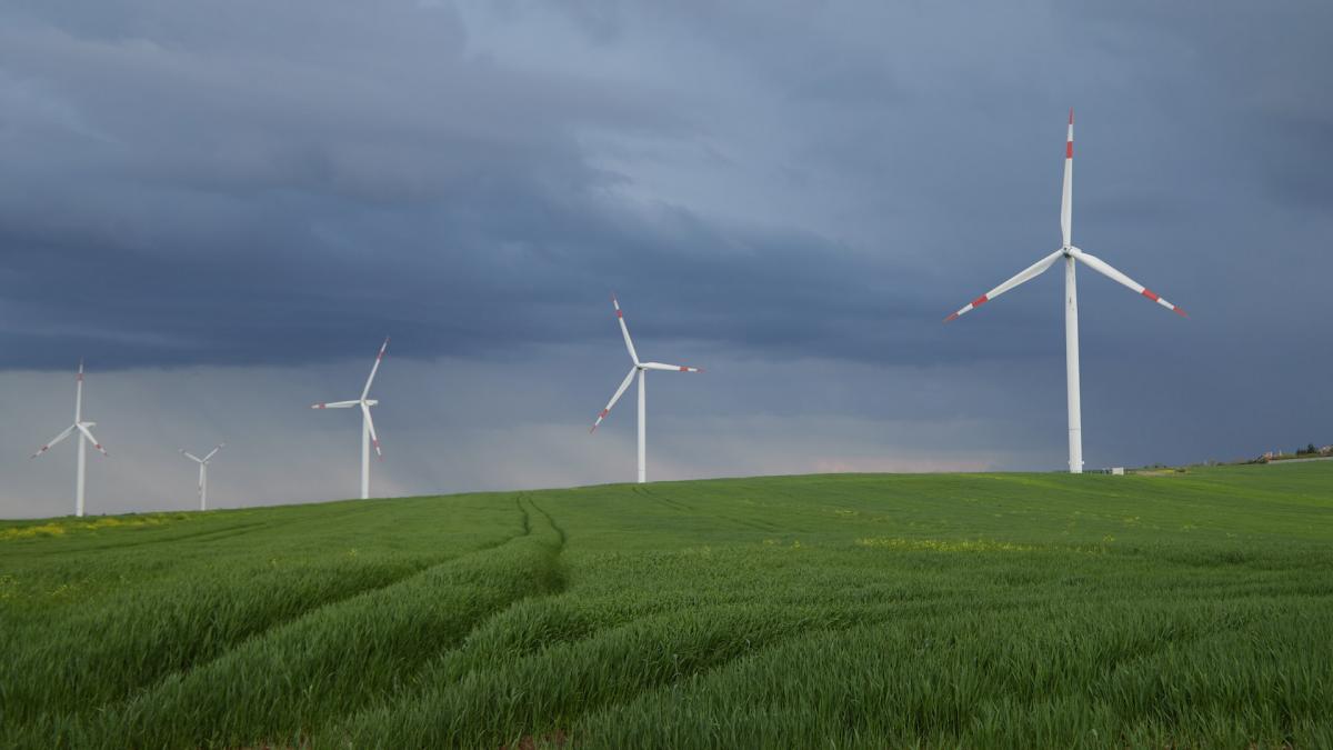 Green field with eolic turbines