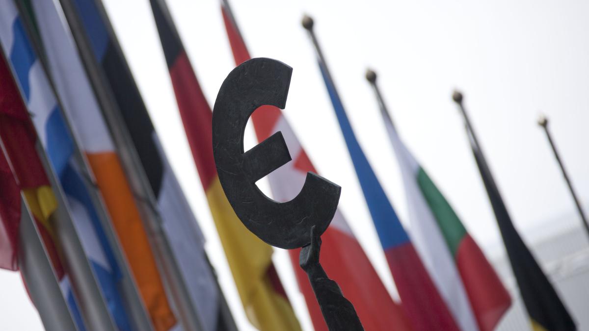 picture of a euro sign and eu country flags in the background