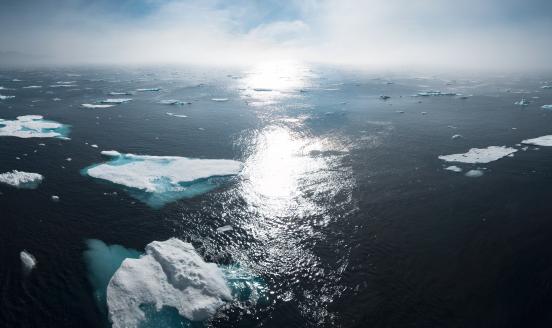 Melting icebergs