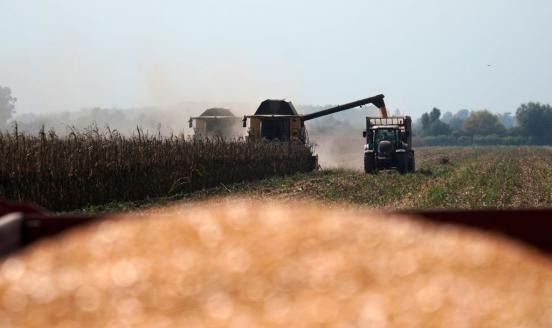 Photo of grain harvester in field