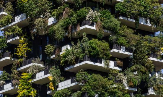 Building covered in green vegetation