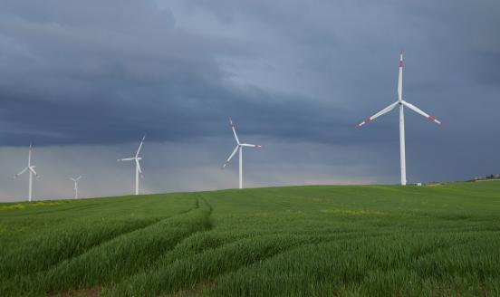 Green field with eolic turbines