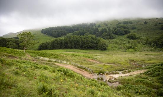 Landscape in the Basque area of ​​the region Nouvelle-Aquitaine in France on July 13, 2021. (Photo by Emmanuele Contini/NurPhoto via Getty Images)