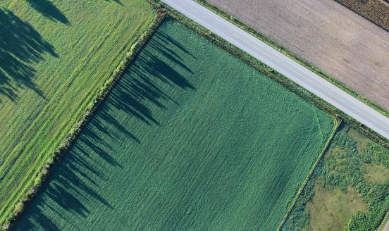 fields
